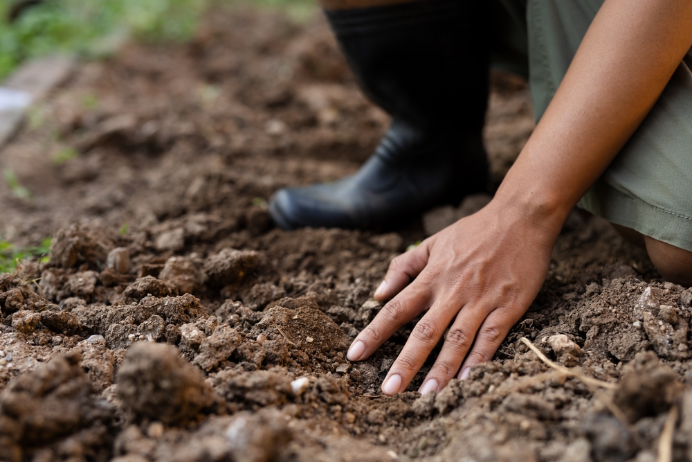 Stormwater Management Strategies